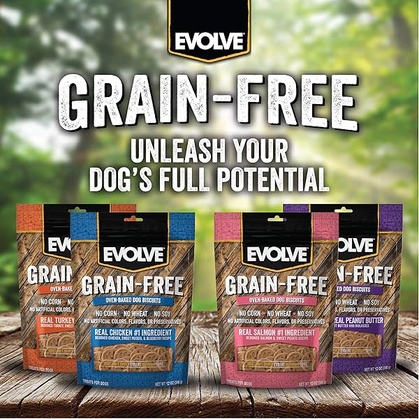 EVOLVE PET FOOD GRAIN FREE DEBONED SALMON AND CHICKPEA DOG BISCUITS 12 OUNCE (PACK OF 1)