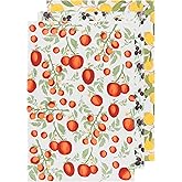 Now Designs Mediterranean Cotton Floursack Kitchen Dish Towels 20 x 30in, Set of 3