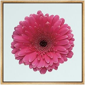 SIGNWIN Framed Canvas Wall Art Deep Pink and...