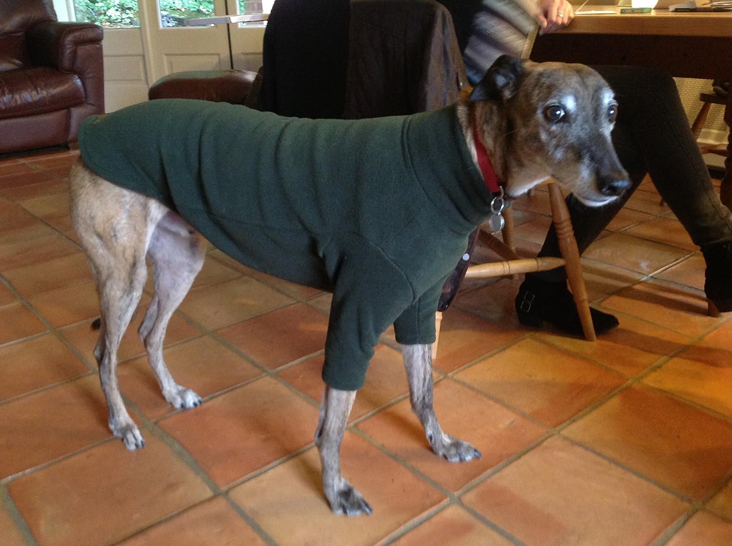 equafleece waterproof dog coats