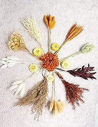 DIY Dried Flower Set, Bulk Dried Flowers,Autumn