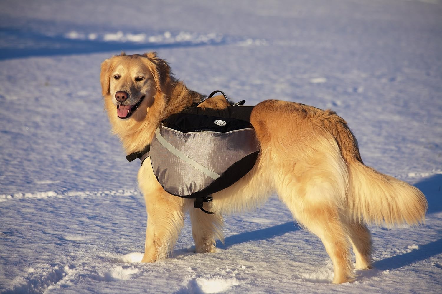 doggles backpack extreme