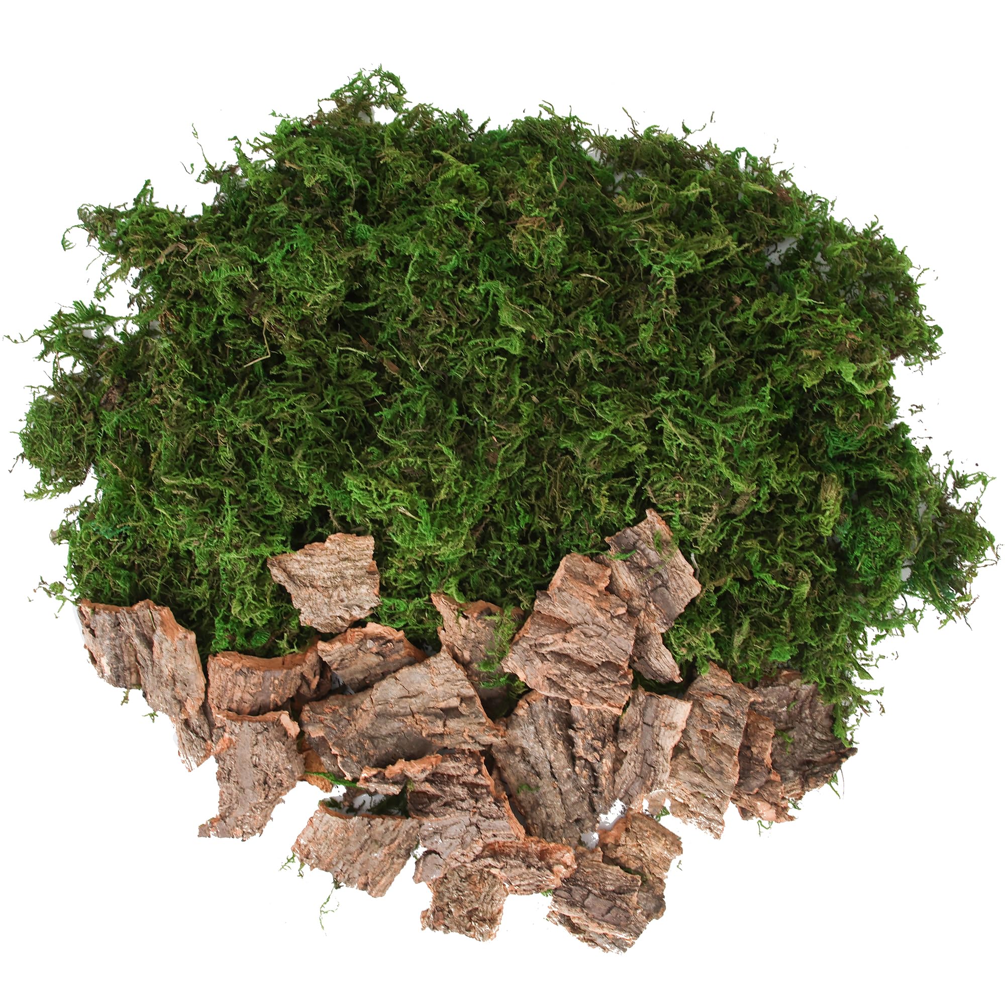BYHER Fake Moss for Crafts, Assorted Treebark Fairy Garden Accessories Green Moss for Decorating, Tree Bark for Crafts, Terrarium, Floral Arrangements (Forest Green)