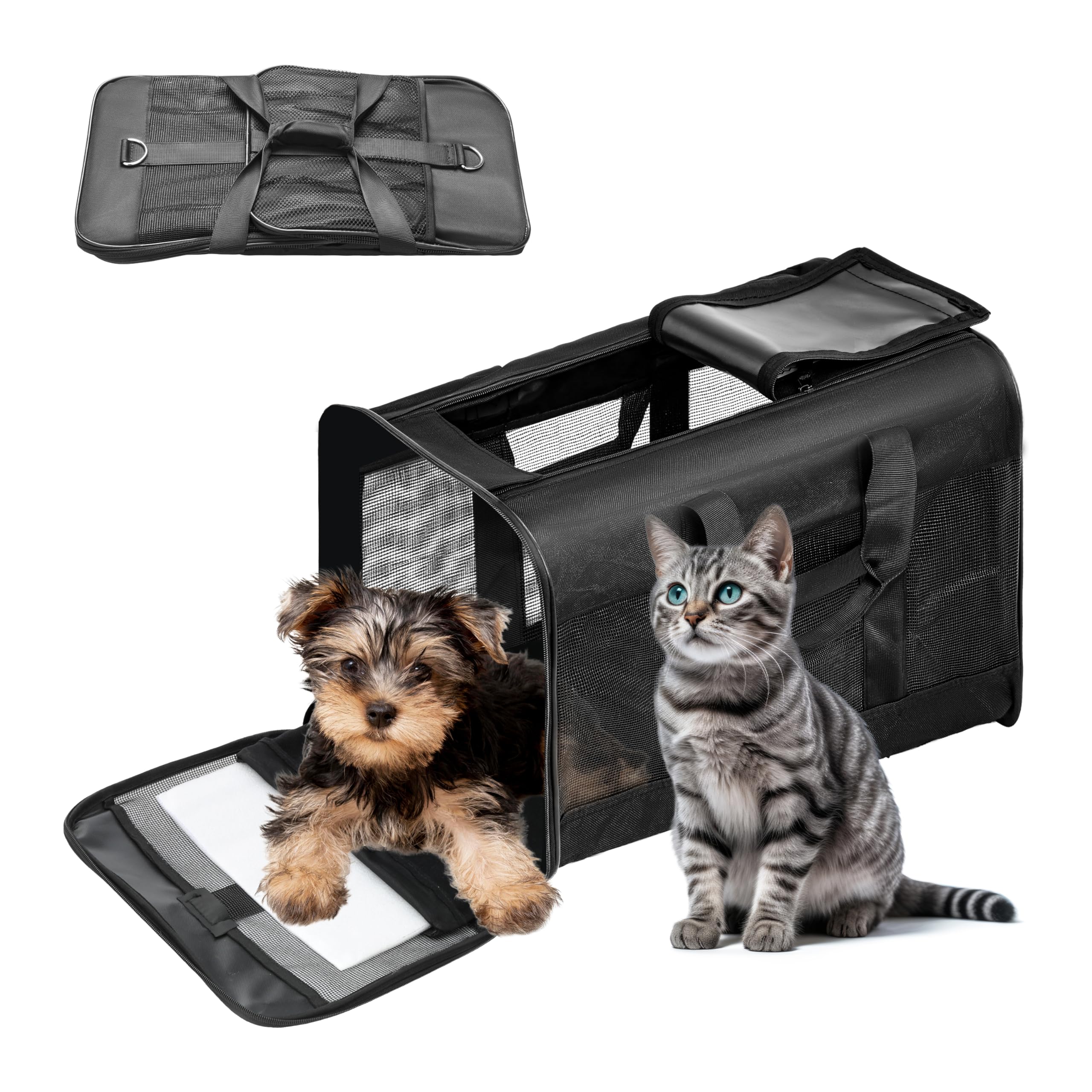 Pet Travel Carrier 2021 NEW Update