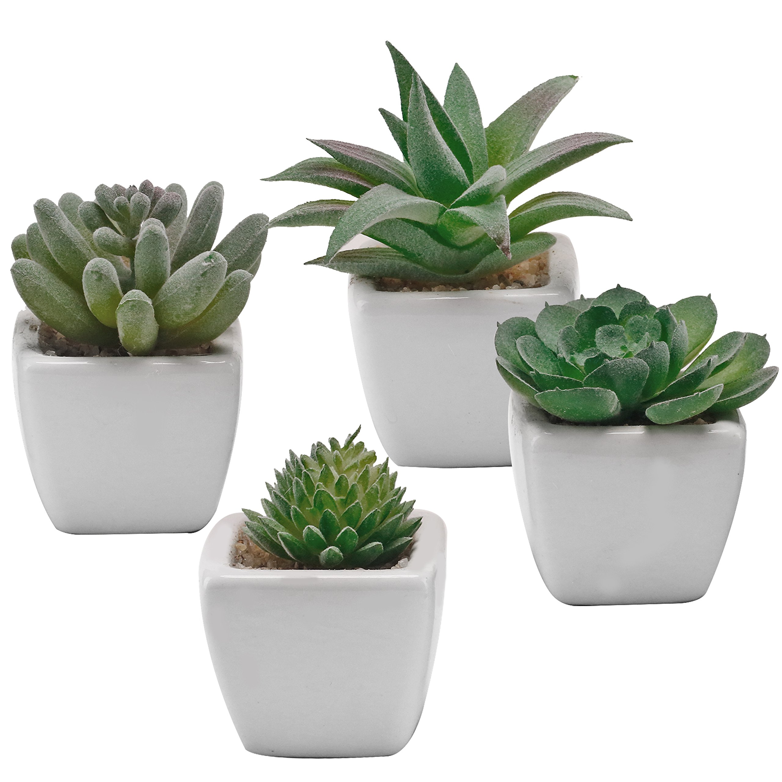Photo 1 of MyGift Miniature Assorted Artificial Green Faux Succulent Plants Potted in Square White Ceramic Planter Pots, Set of 4