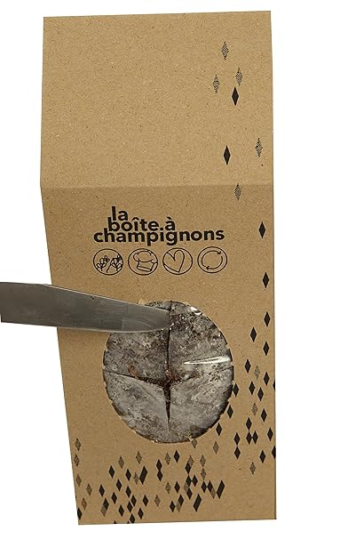 La Boîte à Champignons Lista para cultivar - (clásica para 2 ...