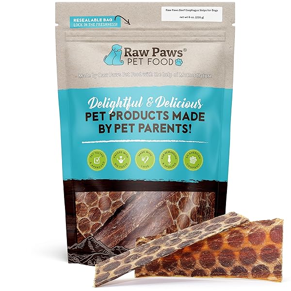 RAW PAWS BEEF ESOPHAGUS STRIPS FOR DOGS, 6-INCH (20-COUNT) – ALL NATURAL CHEWS – FREE-RANGE BEEF ESOPHAGUS STRIPS – DOG TAFFY CHEWS – SINGLE INGREDIENT CHEW FOR DOGS – COW JERKY TREATS