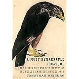 A Most Remarkable Creature: The Hidden Life and Epic Journey of the World's Smartest Birds of Prey