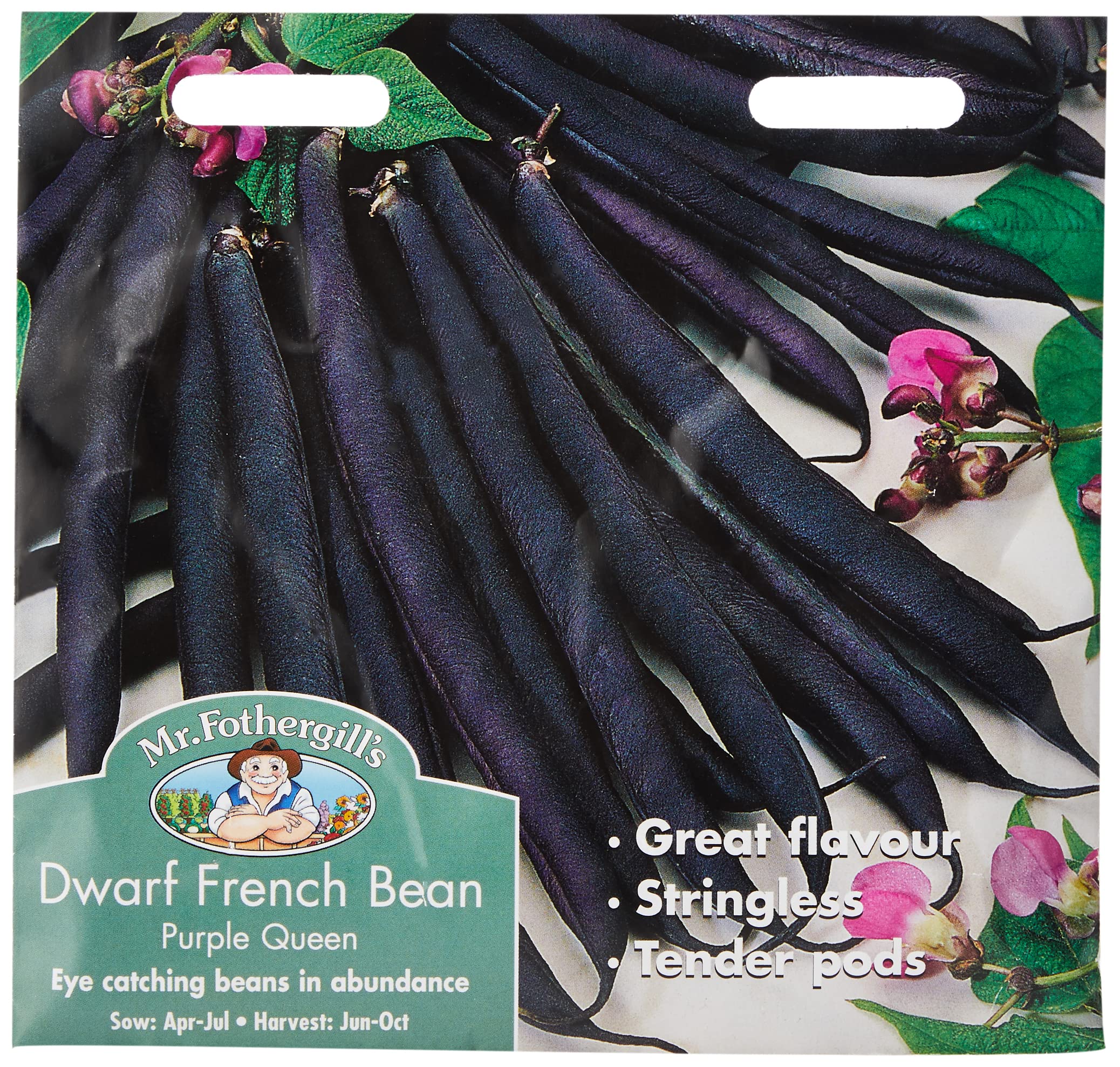 Mr Fothergill's Dwarf French Bean Purple Queen