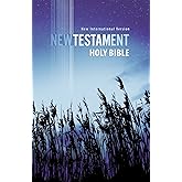 NIV, Outreach New Testament, Paperback, Blue