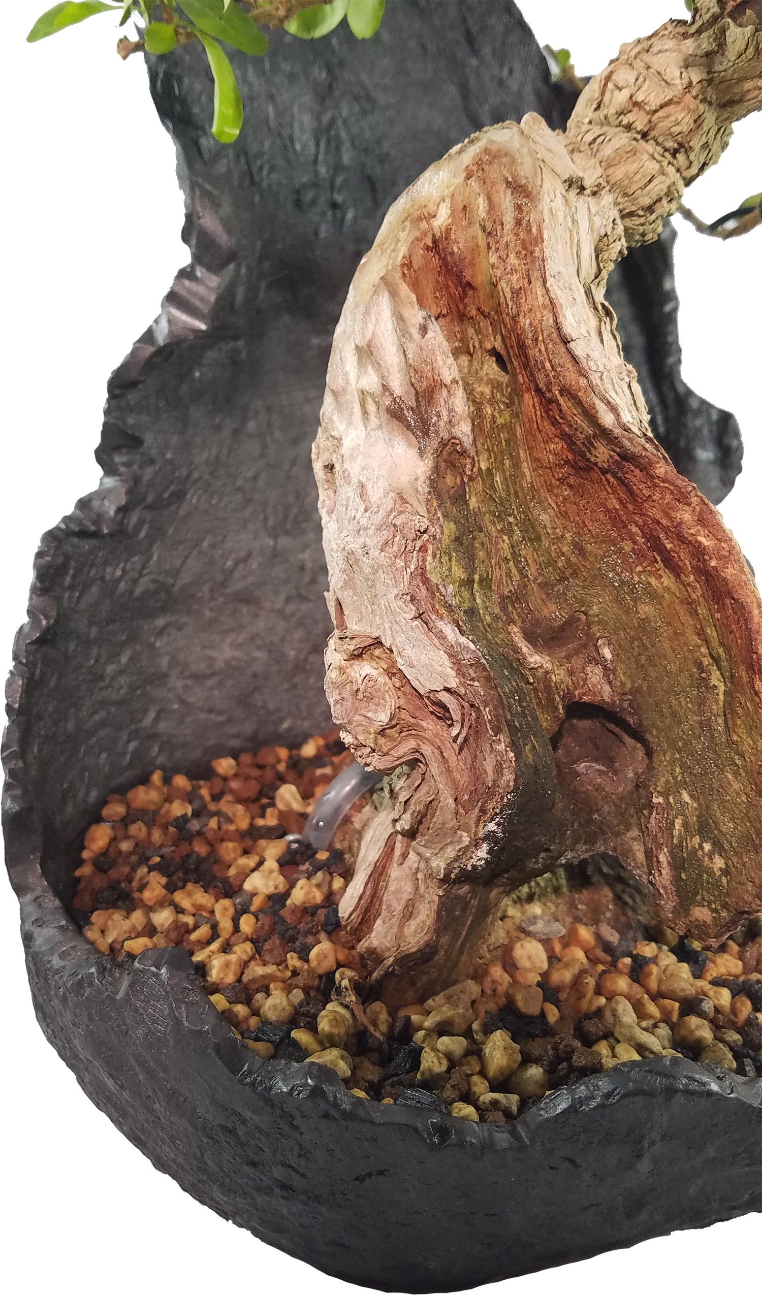 Bonsai Soil Mix Premium Professional, All Purpose, Sifted and Ready