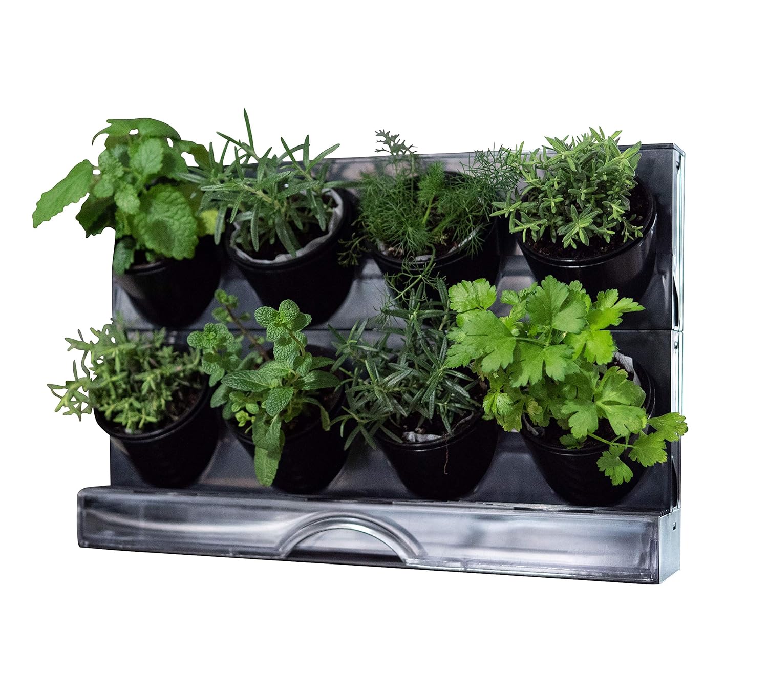 Best Kitchen Counter Herb Garden