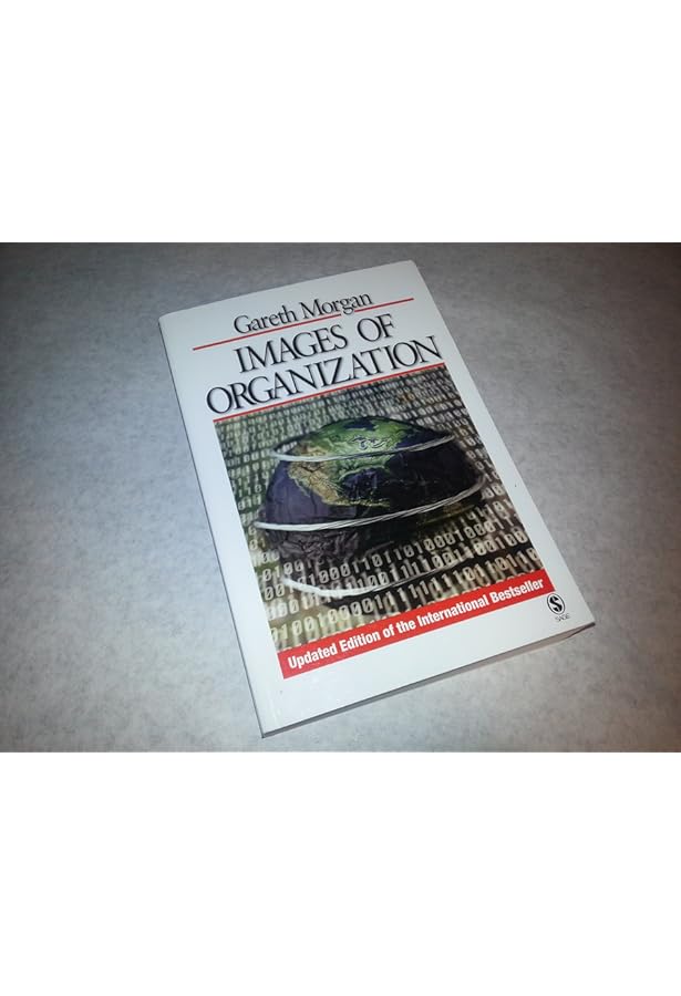 ORGANIZATION THEORY:MODERN, SYMBOLIC, & POSTMODERN PERSPECTIVES 4E