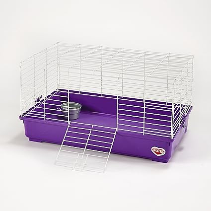 kaytee dwarf rabbit cage