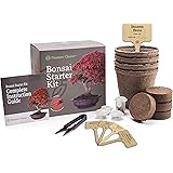 Planters' Choice Bonsai Starter Kit - The Complete Kit to Easily Grow 4 Bonsai Trees from Seed with Comprehensive Guide & Bamboo Plant Markers - Unique Gift Idea