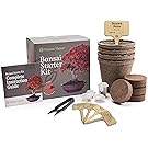 Planters' Choice Bonsai Starter Kit - the Complete Kit to Easily Grow 4 Bonsai Trees from Seed with Comprehensive Guide & Bamboo Plant Markers - Unique Gift Idea