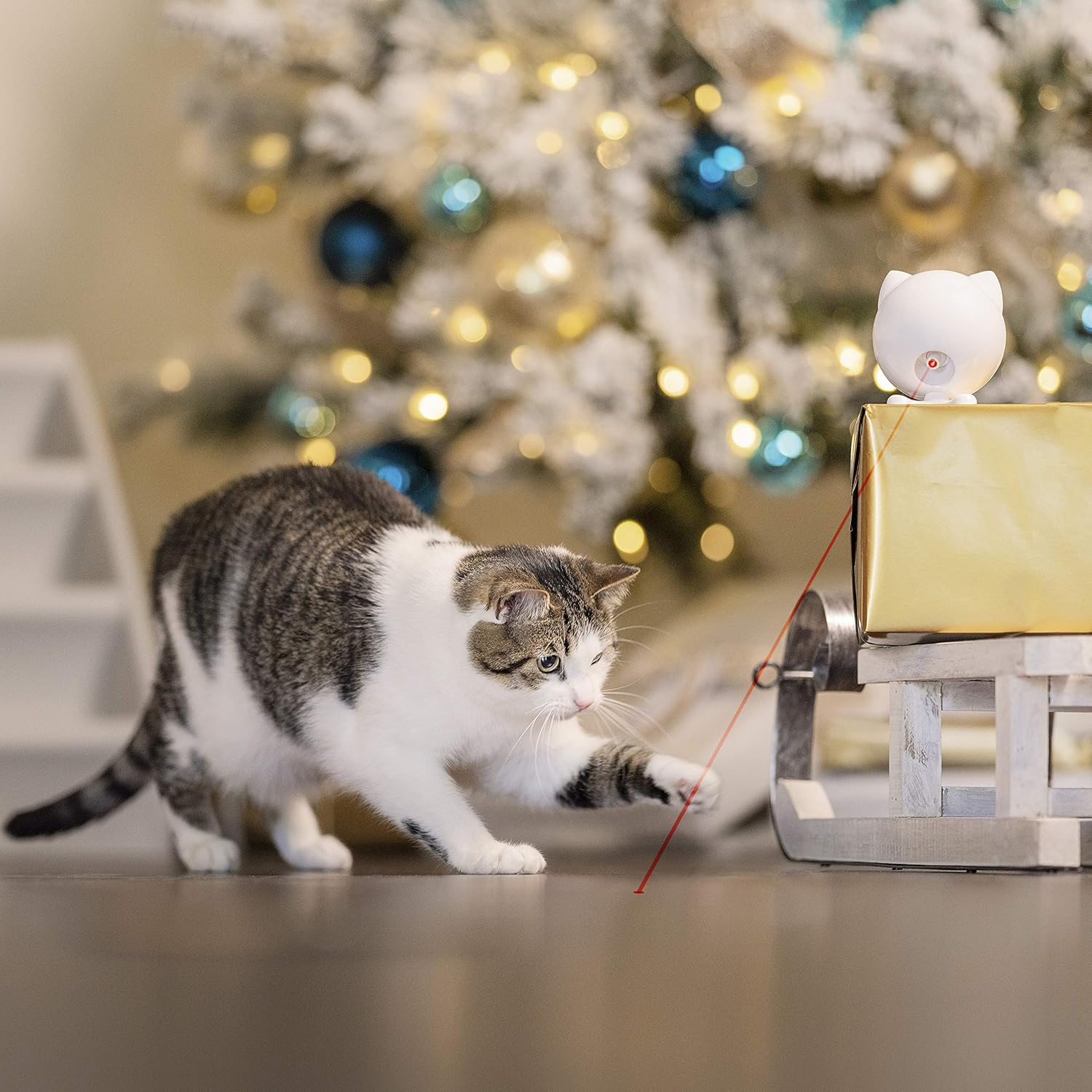 motion activated laser cat toy