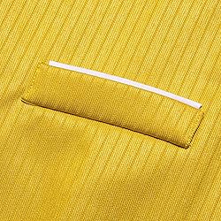 Barry.Wang Mens Yellow Vest Striped Formal/Leisure