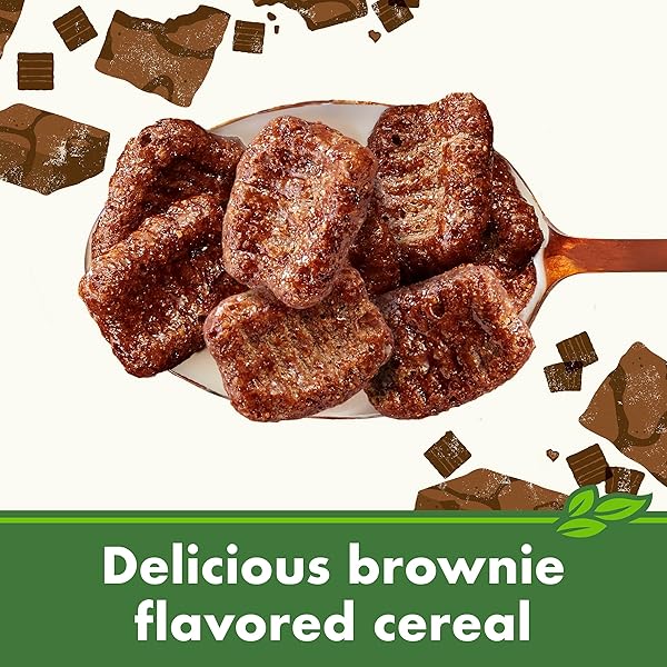 CASCADIAN FARM ORGANIC BROWNIE CRUNCH CEREAL, GLUTEN FREE, WHOLE GRAIN AND MADE WITH REAL COCOA, 12.4 OZ