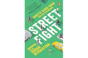 Streetfight: Handbook for an Urban Revolution