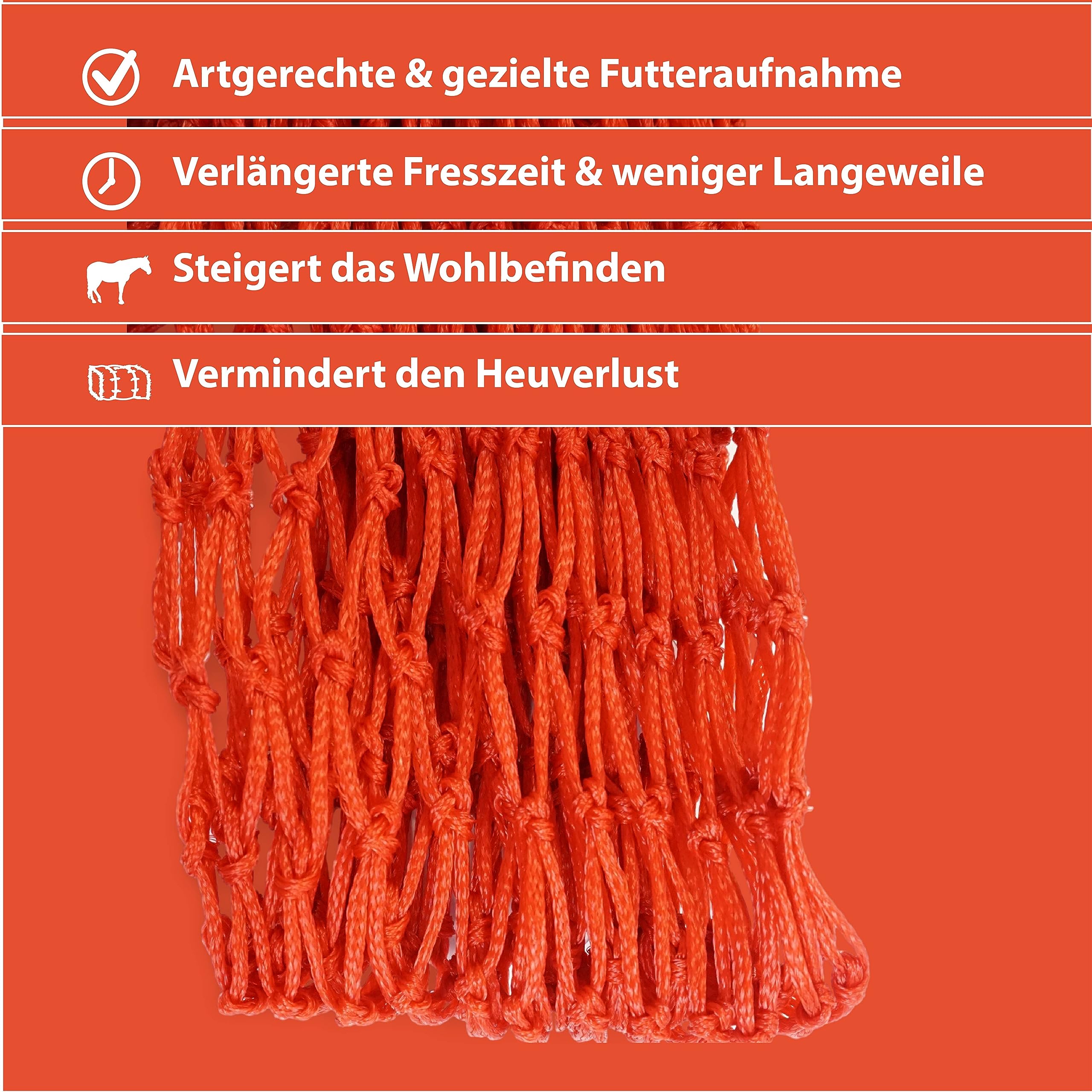 View 4