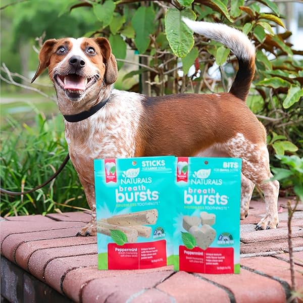 ARK NATURALS BREATH BURSTS BRUSHLESS TOOTHPASTE DOG TREATS, DOG DENTAL BITS FOR SMALL BREEDS, UNIQUE TEXTURE HELPS CLEAN TEETH & FRESHEN BREATH, PEPPERMINT, 4 OZ, 1 PACK