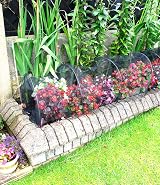 DIVCHI Cloche Net Grow Tunnel Plant Cover Black - Bird & Pest Protection view 3