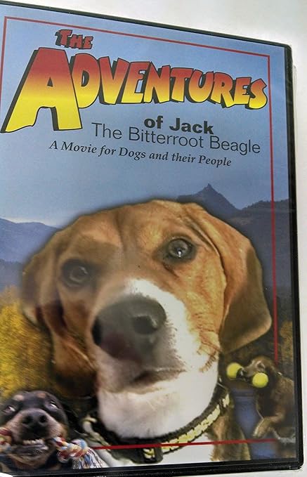 bitterroot animal shelter