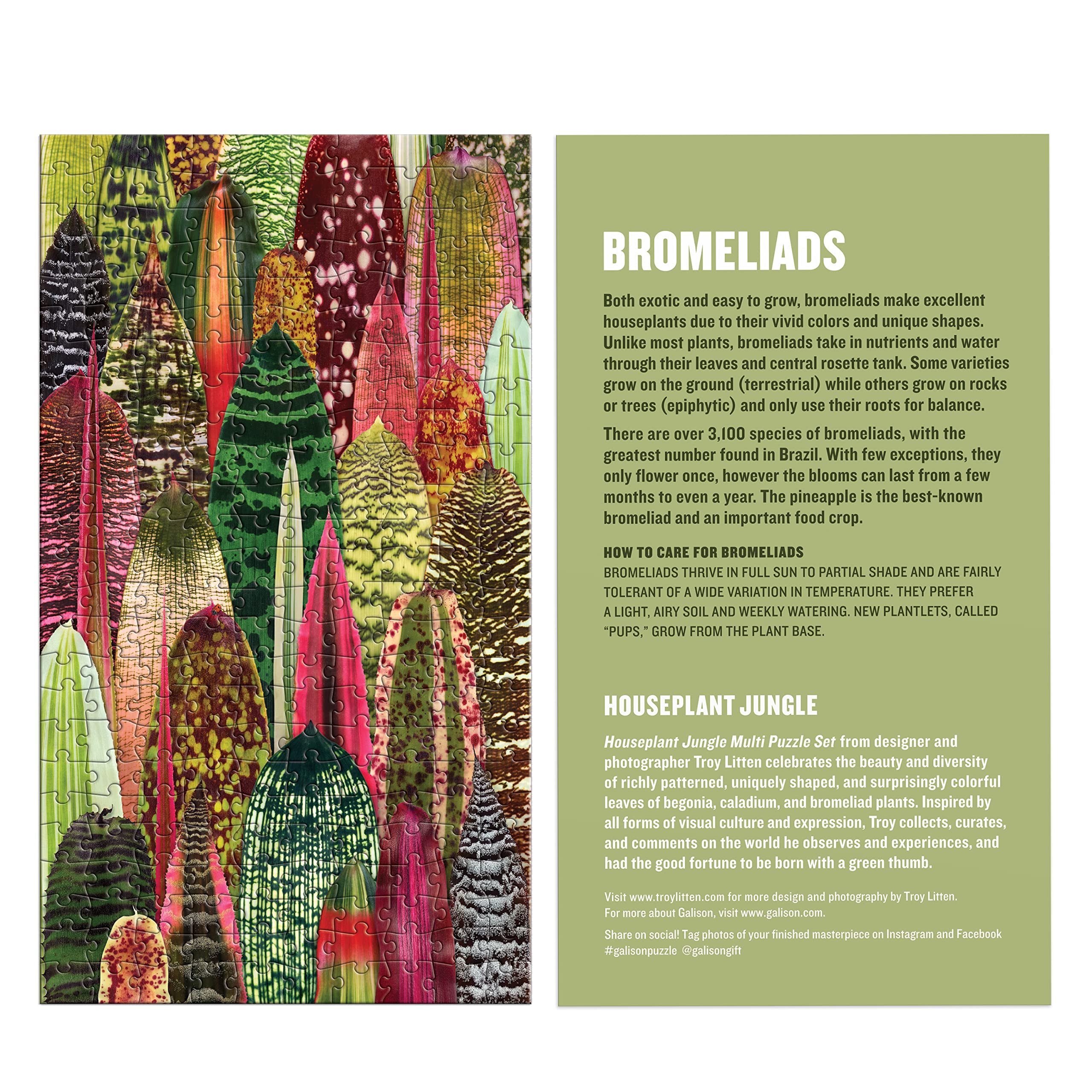 Galison Houseplant Jungle Multi Puzzle Set from Galison - Includes Three 250 Piece Puzzles Featuring Botanical Photographs from Troy Litten, Thick and Sturdy Pieces, Fun and Challenging Activity