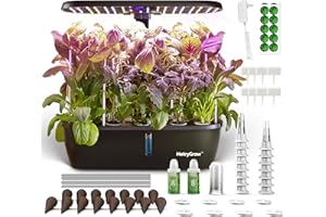 METRYGROW MG-15 Hydroponic Growing System Kits, Smart Indoor Garden with 24W Grow LED Light Full Spectrum, 15 Pods Herb Garden Planter Indoor Gardening for Gifts, Kitchen