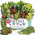 SEEKO Succulents Artificial Succulents (28pc) Premium Fake Succulent Plants - Realistic Faux Plants