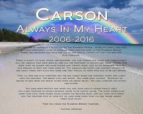 Rainbow Bridge Poem Pet Loss Memorial Dog Cat Personalized 8x10 Add Photo Gift