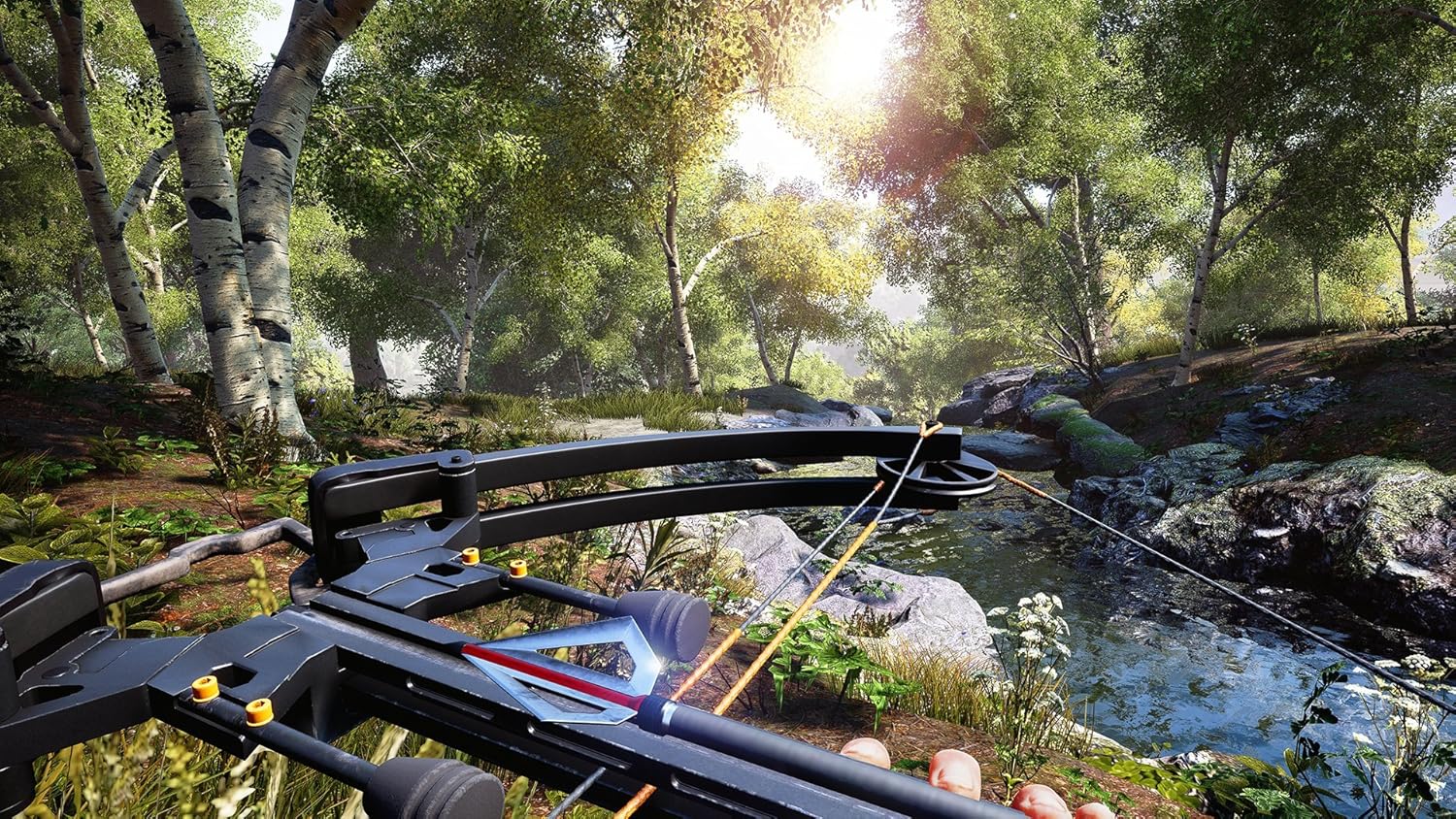 nintendo switch the hunt