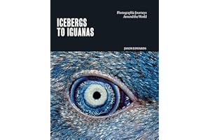 Icebergs to Iguanas: Photographic Journeys Around the World