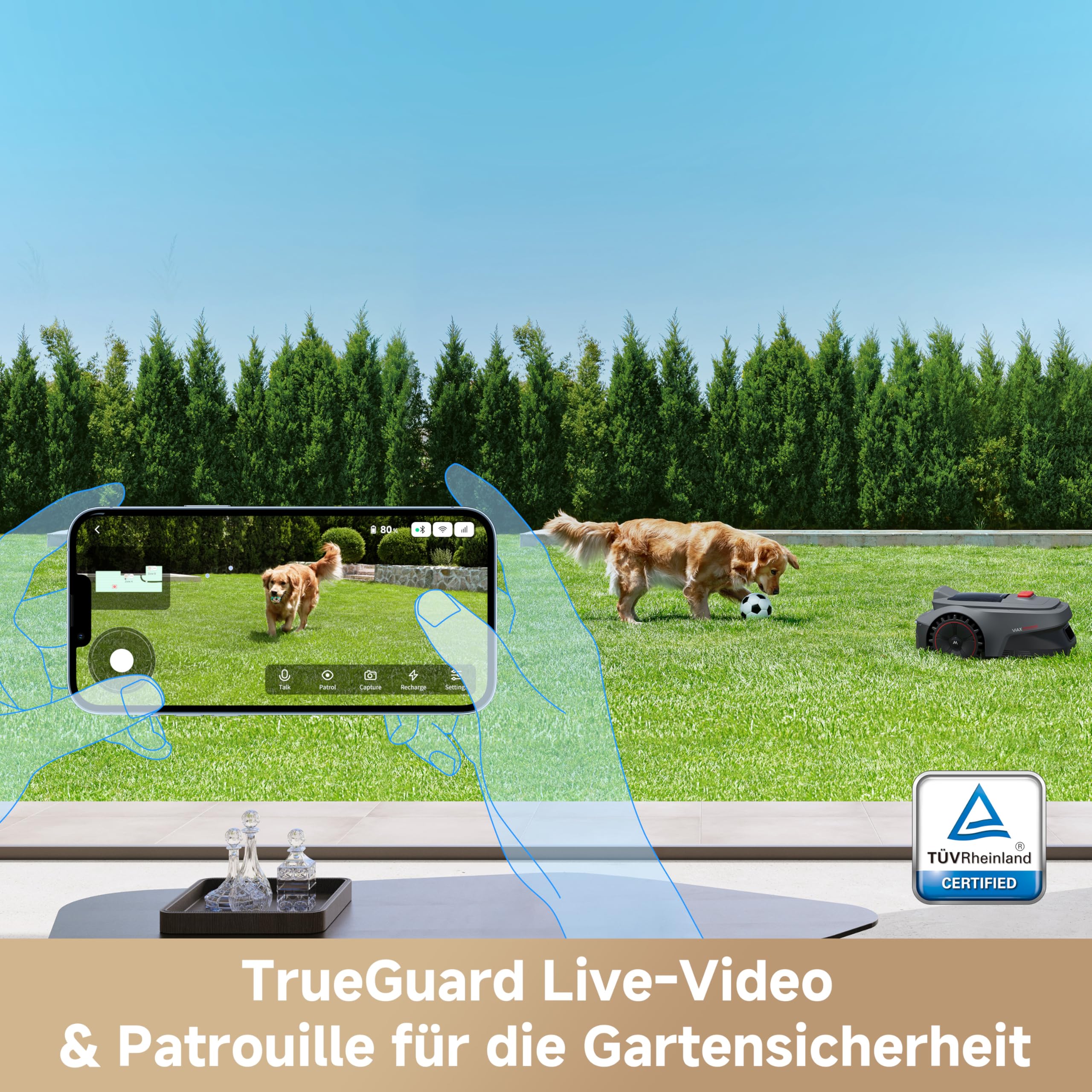 MOVA ViAX 250 Mähroboter Ohne Begrenzungskabel, Empf. 250m², KI-unterstützte Auto-Mapping, U-förmige Bahnen, Hindernisvermeidung Dual-Vision, Besserer Kantenschnitt, Für Komplexe Gelände, Appsteuerung 8