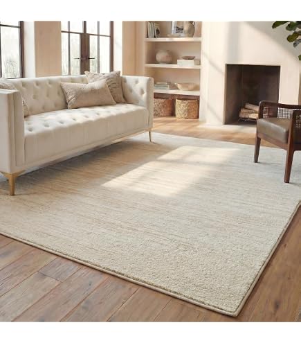 Amazon.com: SAFAVIEH Whisper Collection Area Rug - 6'7