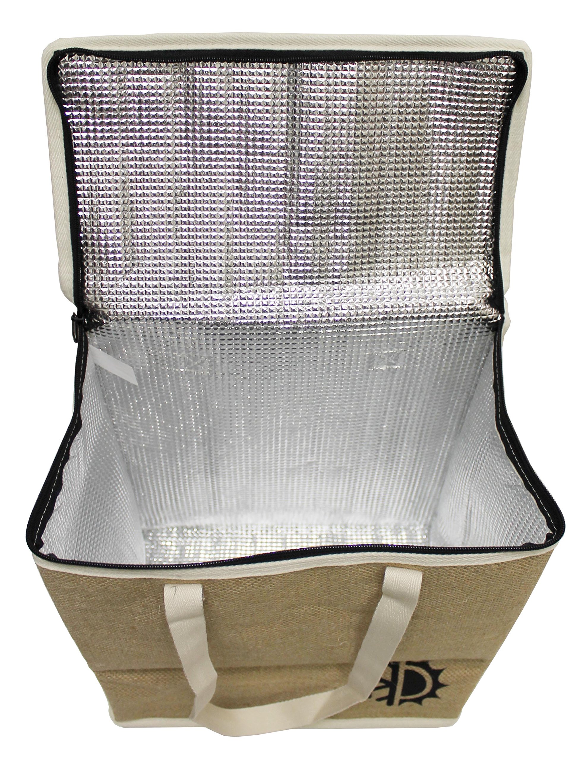 Insulated Zip Bag at Nancy Griggs blog