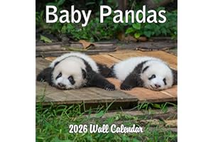 BLUE WOLF CALENDAR COMPANY 2026 Baby Pandas Monthly Wall Calendar | Cute Baby Animals Calendar 2025-2026