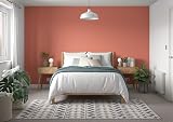 Dulux Simply Refresh Blood Orange Matt Emulsion Paint 1.25L view 6