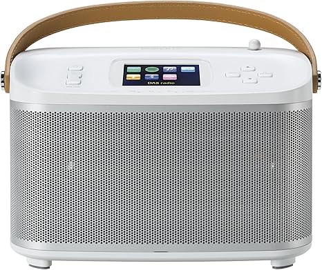 roberts radio r100