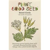 Plant Good Seed Organic Sweet Cicely Seeds for Planting: 20 Count | Shade-Loving Anise-Scented Perennial Herb, Ferny Foliage and Lacy White Umbels, Old-World Sweetening Herb, Rare From Seed