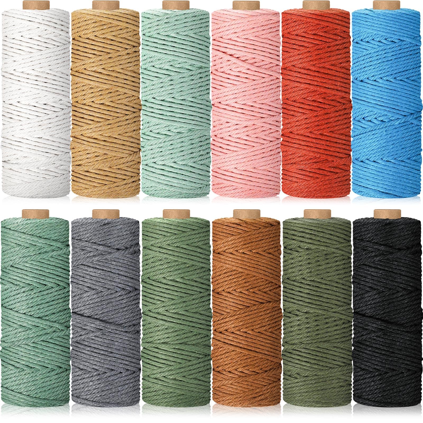 Photo 1 of Wesnoy 12 Rolls Macrame Cord, 2 mm x 1308 Yards Natural Cotton Twine, Colored Macrame String, Colorful Cotton Rope for DIY Crafts Knitting, Artworks, Wall Hanging, Plant Hangers (Classic Color)