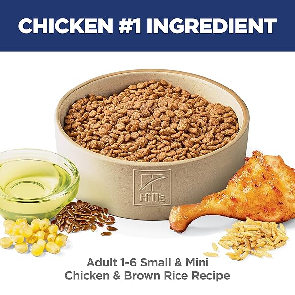 HILL’S SCIENCE DIET ADULT 1-6 SMALL & MINI DRY DOG FOOD, CHICKEN & BROWN RICE, 4.5 LB. BAG