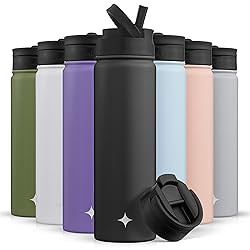 JoyJolt Triple Insulated Water Bottle with Straw