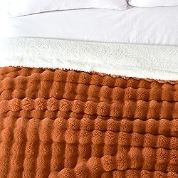 Serenhom 60x80 Inches Ultra-Soft Fuzzy Faux Fur