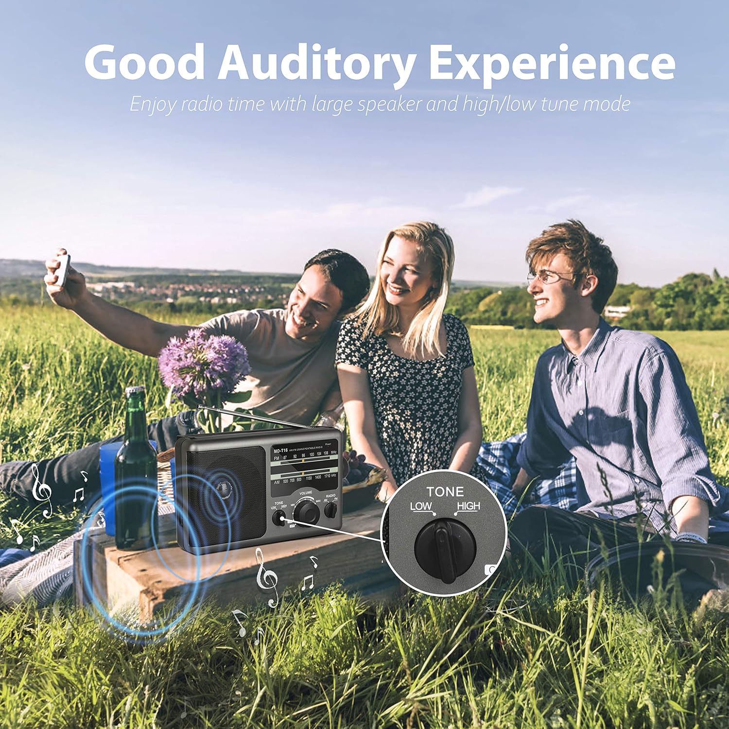 AM FM Portable Radio Transistor Radio with 3.5mm Earphone Jack, Hight/Low Tone Mode, Big Speaker, AC Power or Battery Operated by 4 D Cell Batteries for Home and Outdoor: Home Audio & Theater