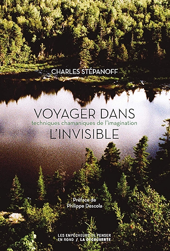 Download Voyager dans l'invisible PDF
