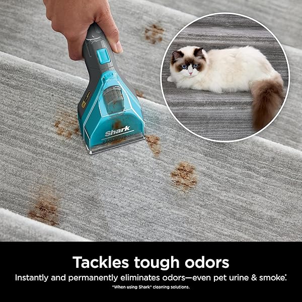 SHARK CARPETXPERT DEEP CLEAN PRO FORMULA FOR ALL SHARK UPRIGHT & PORTABLE CARPET CLEANERS, FORMULATED FOR ALL CARPETS, UPHOLSTERY & AREA RUGS, ELIMINATES TOUGH PET MESSES AND ODORS, 48OZ, EXCM48