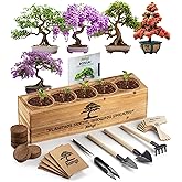 Bonsai Tree Kit – 5X Unique Japanese Bonzai Trees | Complete Indoor Starter Kit for Growing Plants with Bonsai Seeds, Tools &