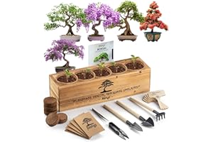 AVERGO Bonsai Tree Kit – 5X Unique Japanese Bonzai Trees | Complete Indoor Starter Kit for Growing Plants with Bonsai Seeds, Tools & Planters – Gardening Gifts for Women & Men